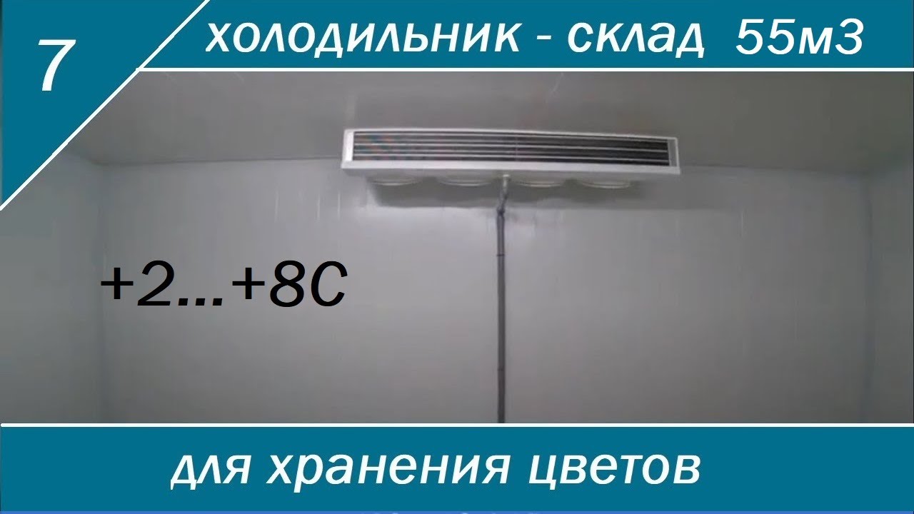 Склад для хранения цветов. Цветочная холодильная камера.
