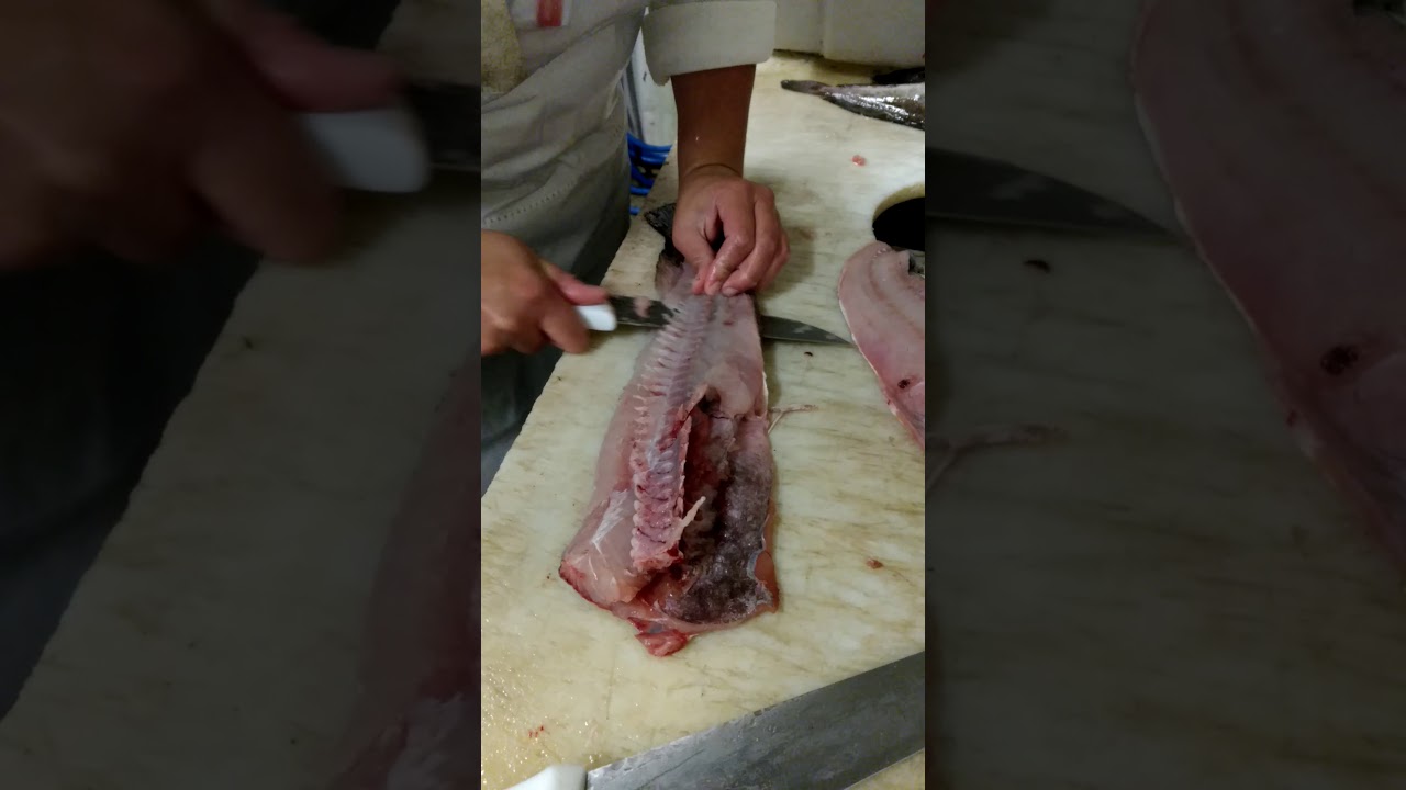 Fazendo fil&eacute; de peixe abr&oacute;tea