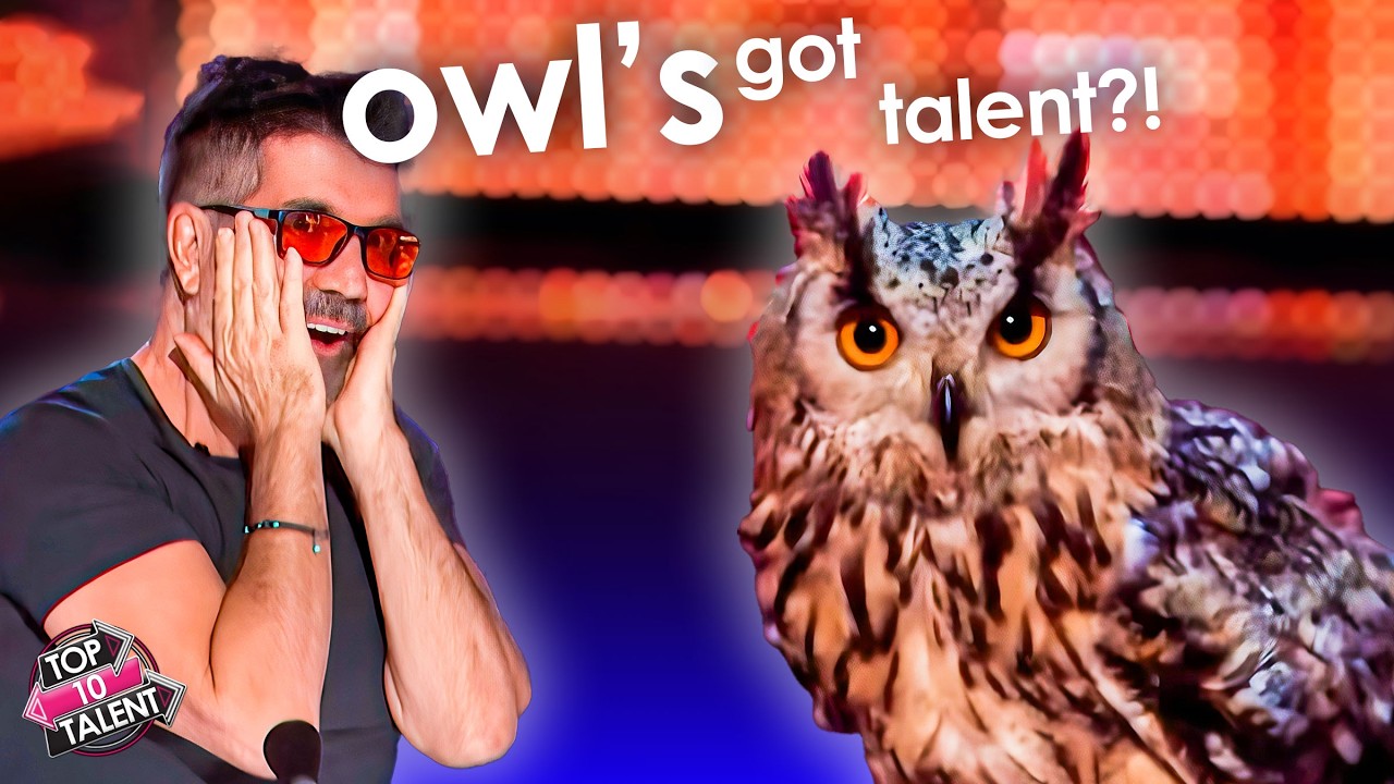 These Auditions Were NOT Human… 😳🦜