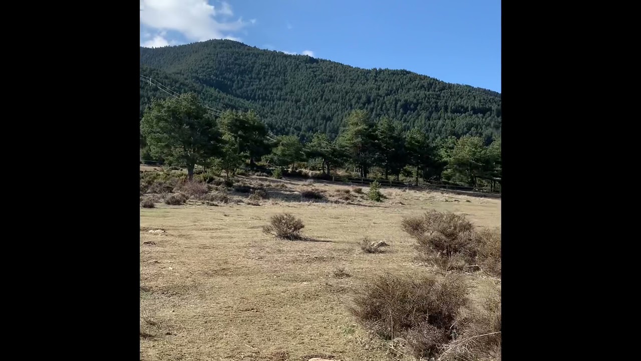 Alp Coma Oriola