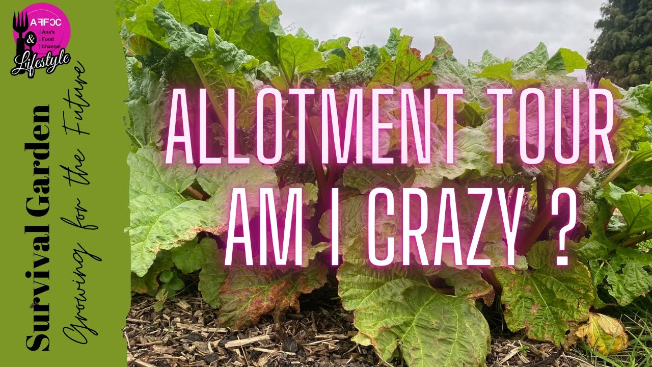 Allotment Tour |Survival Garden for Self sufficiency |UK preppers Garden