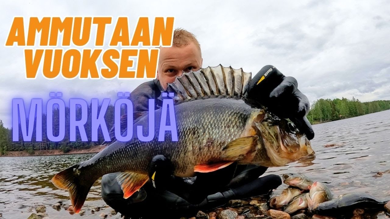 AMMUTAAN VUOKSEN MÖRKÖJÄ! - HARPPUUNALLA ENNÄTYKSET UUSIKSI!