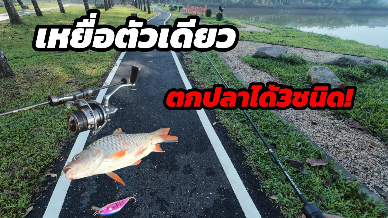 10 กุมภาพันธ์ ค.ศ. 2026