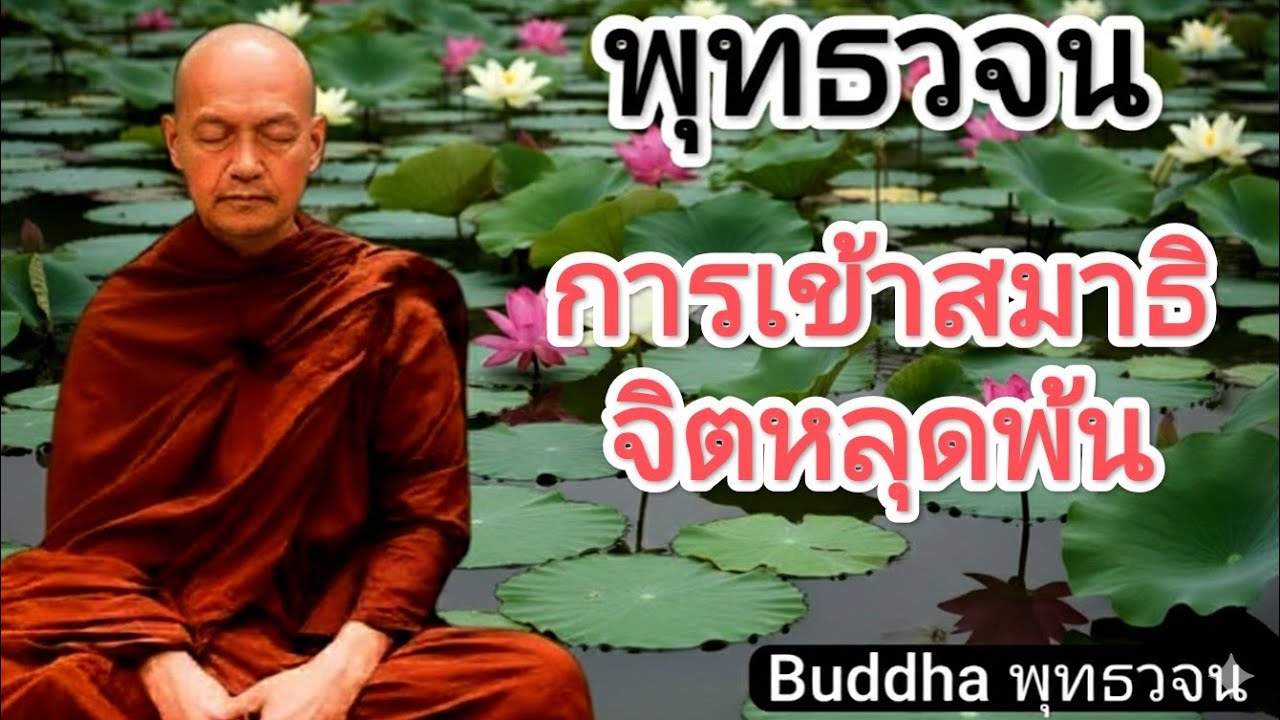 การเข้าสมาธิ จิตหลุดพ้น//พุทธวจน