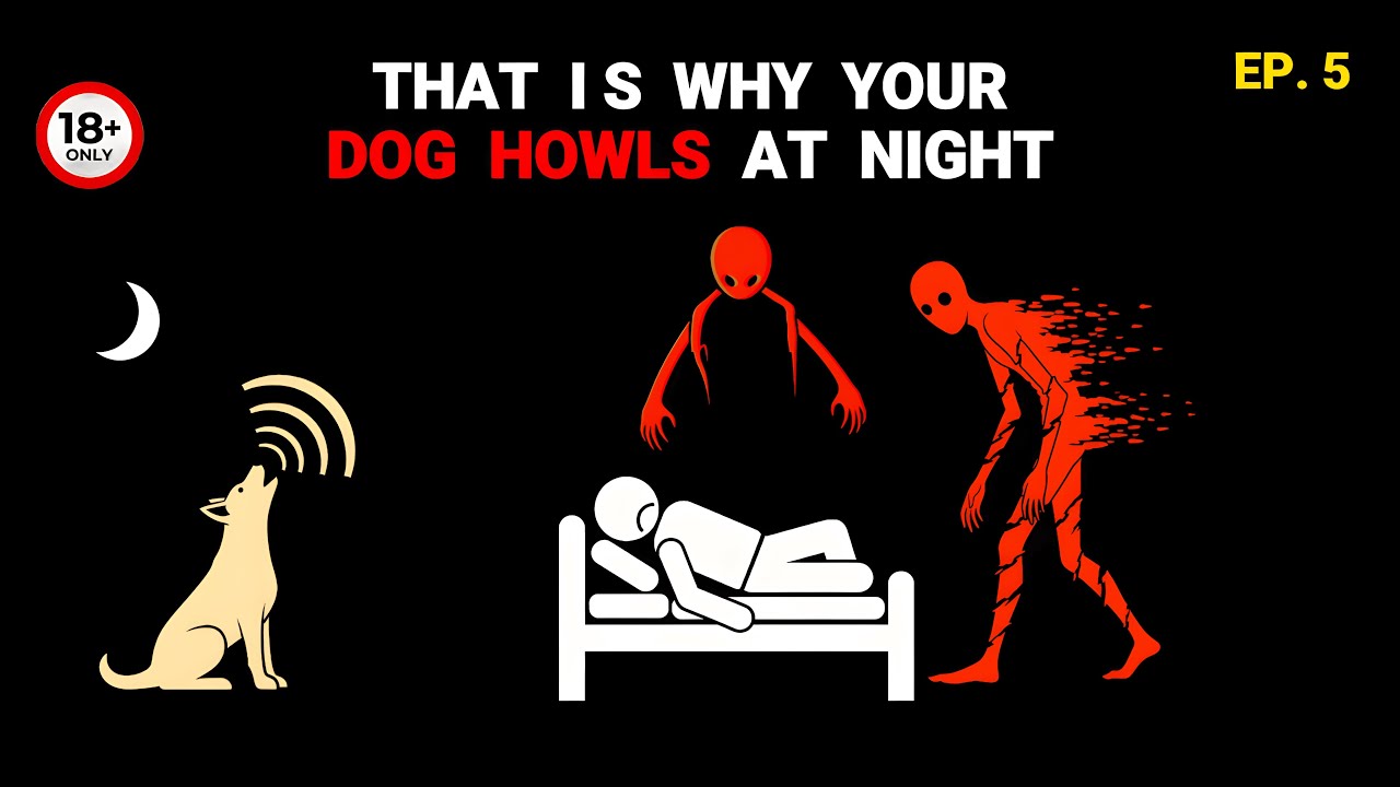 If Your Dog Howls At Night... They Are Coming - Analog Horror