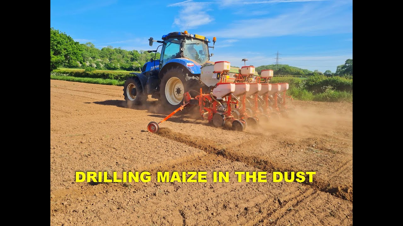 Посев кукурузы в пыли