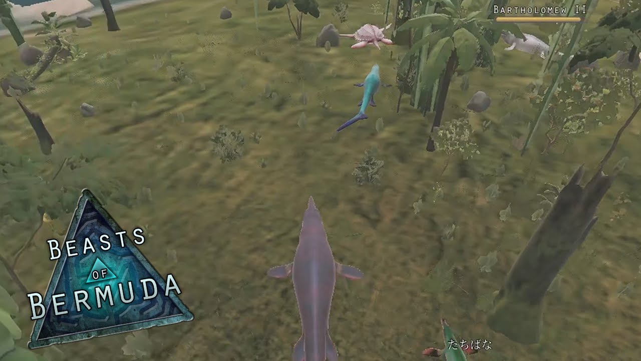 MOSA Video to EAT to - Beasts of Bermuda
