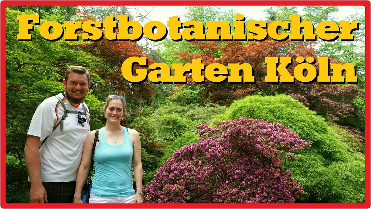 Köln: Forstbotanischer Garten 🌲🌳 [2,7K]