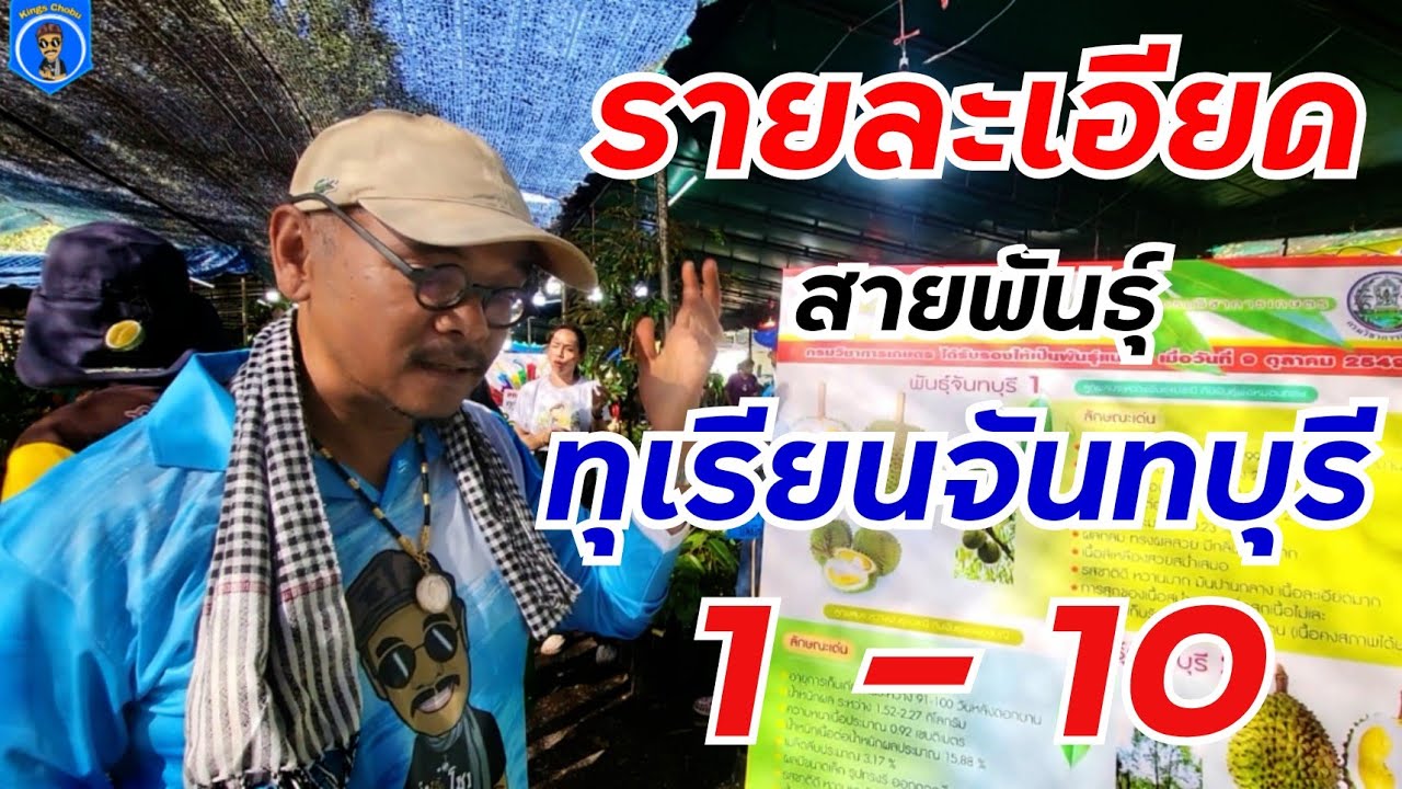 ทุเรียนสายพันธุ์จันทบุรี 1-10 มีรายละเอียดอะไรบ้างของสายพันธุ์ // by อ.กริช 081-5911337