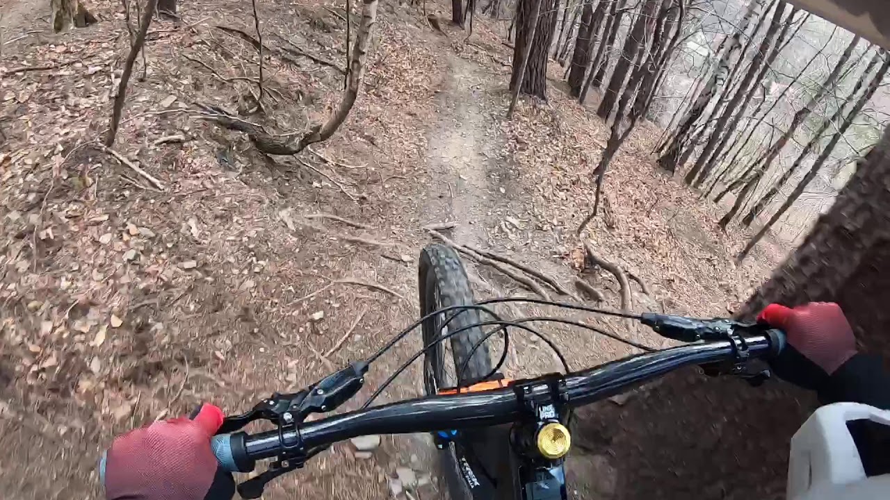 #straconkaelduro „Szybkawica”