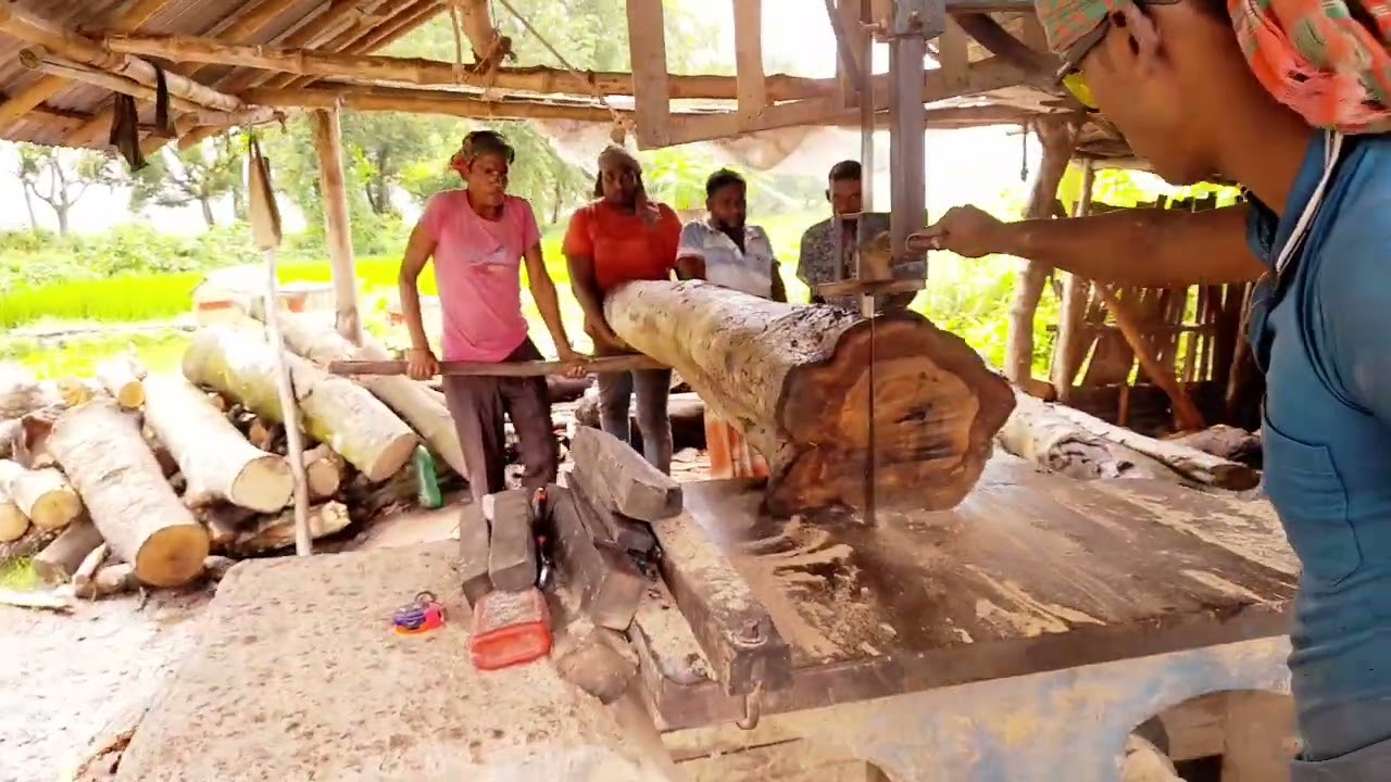 Bangladesh sawmill wood cutting process @bdwoodsawmill 