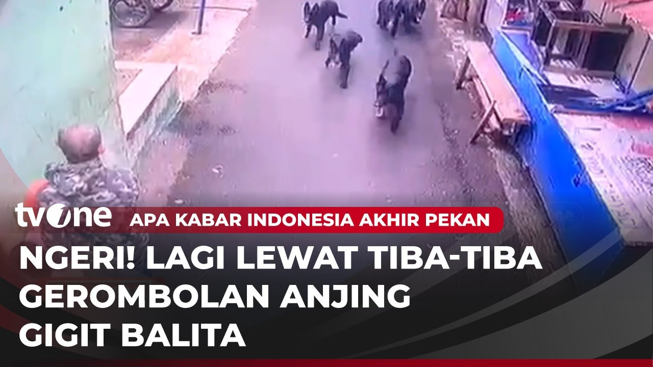 Kawanan Anjing Serang Bocah di Bandung | AKAP tvOne