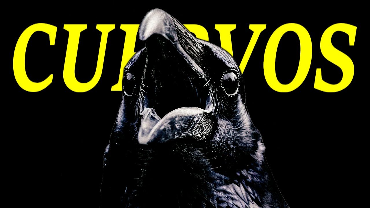 Cuervos