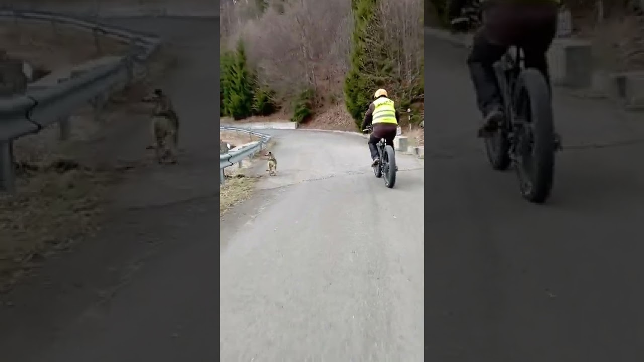 Bikkla Borsec