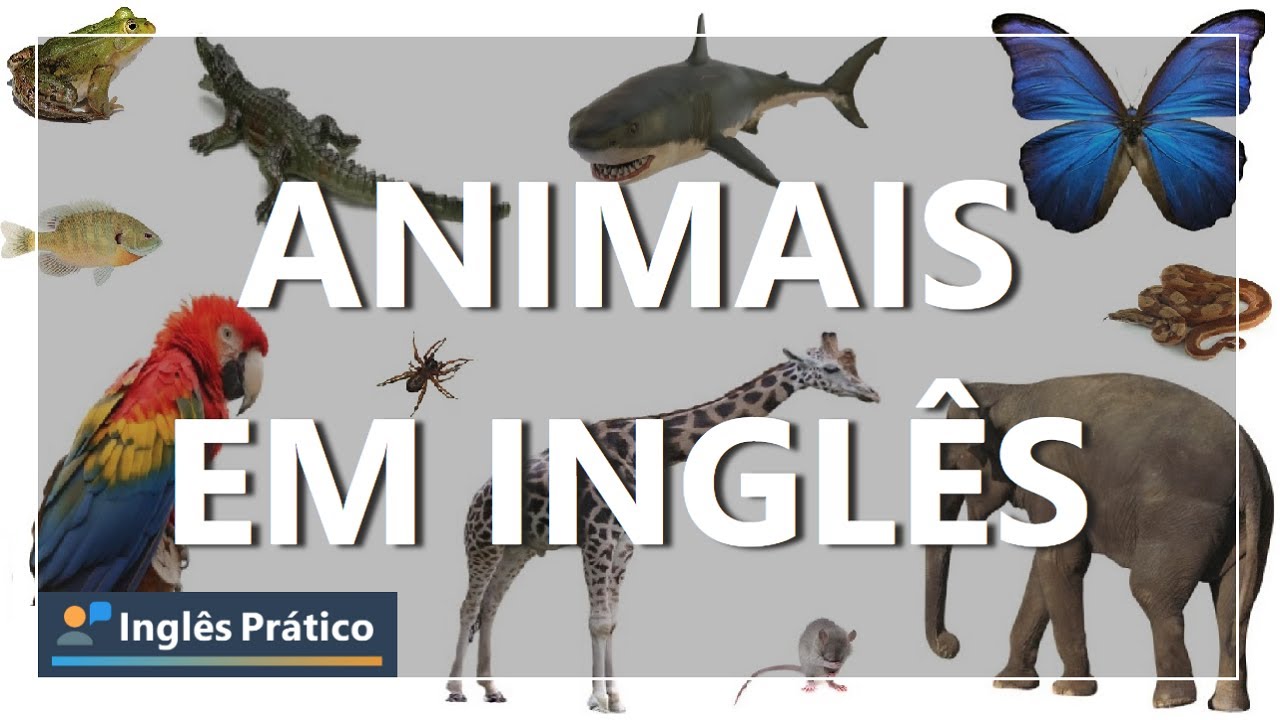 Animais em inglês | Nome dos bichos em inglês