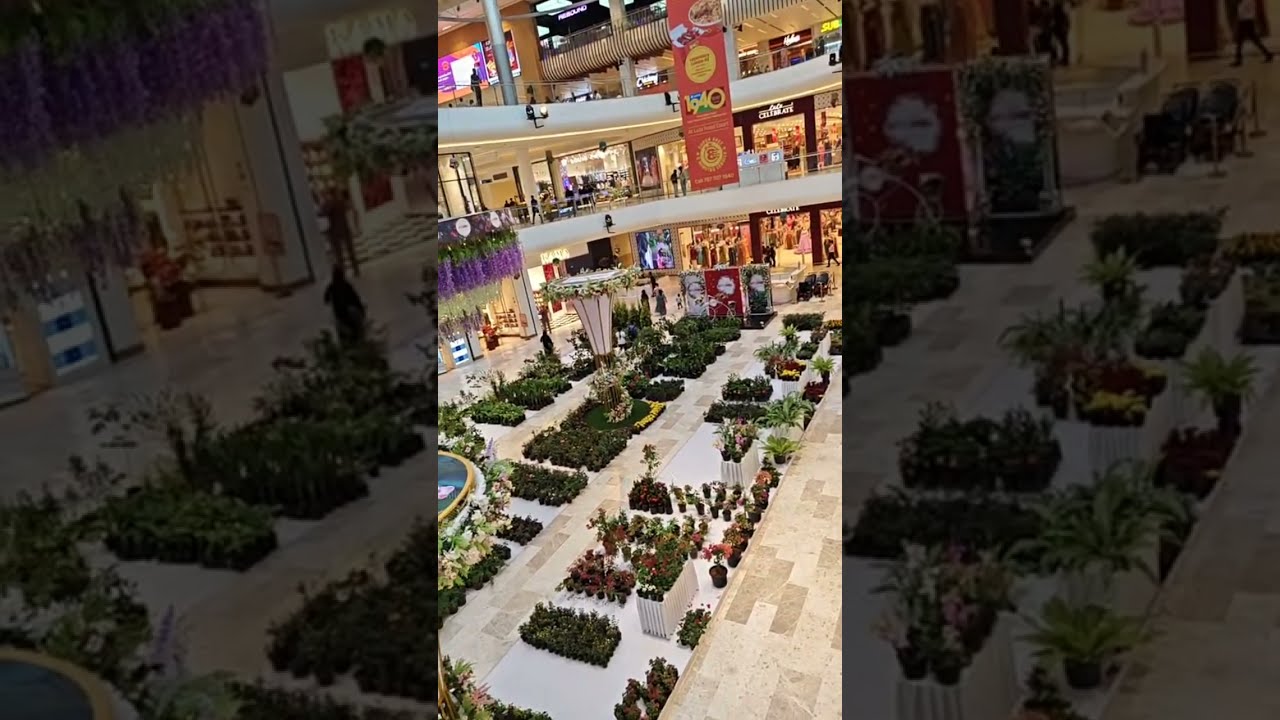  Tvm Lulu mall   Flower  show  2026Lets Cook Together is live!