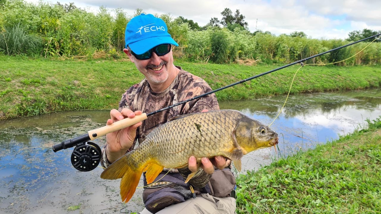 Carpas en fly cast: ¡Chascomuseando!
