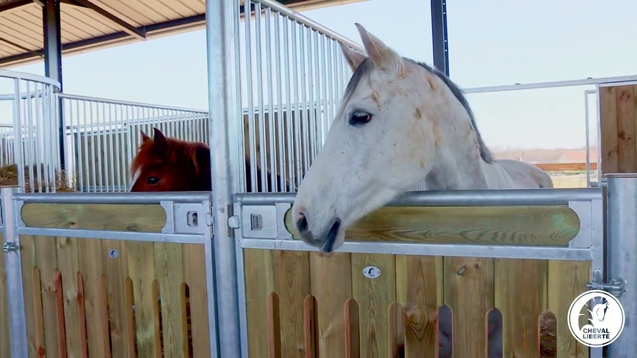 Réalisation Cheval Liberté aménagements sur mesure façades Delta
