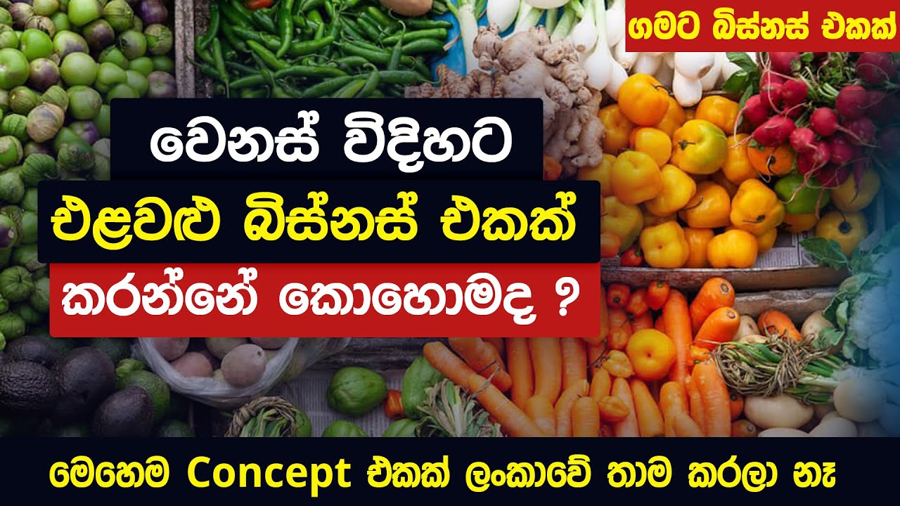 වෙනස් විදිහට එළවළු බිස්නස් එකක් කරන්නේ කොහොමද?  Business Plan | ගමට බිස්නස් එකක්