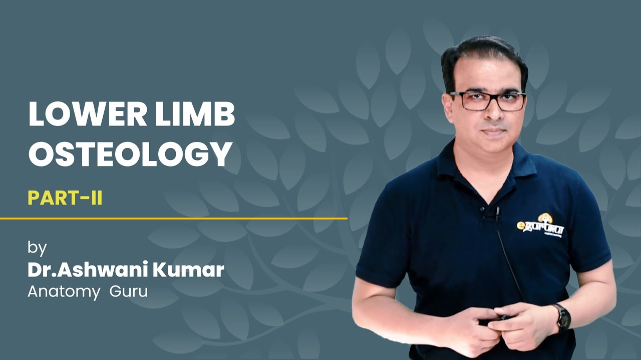 LOWER LIMB OSTEOLOGY (PART 2)