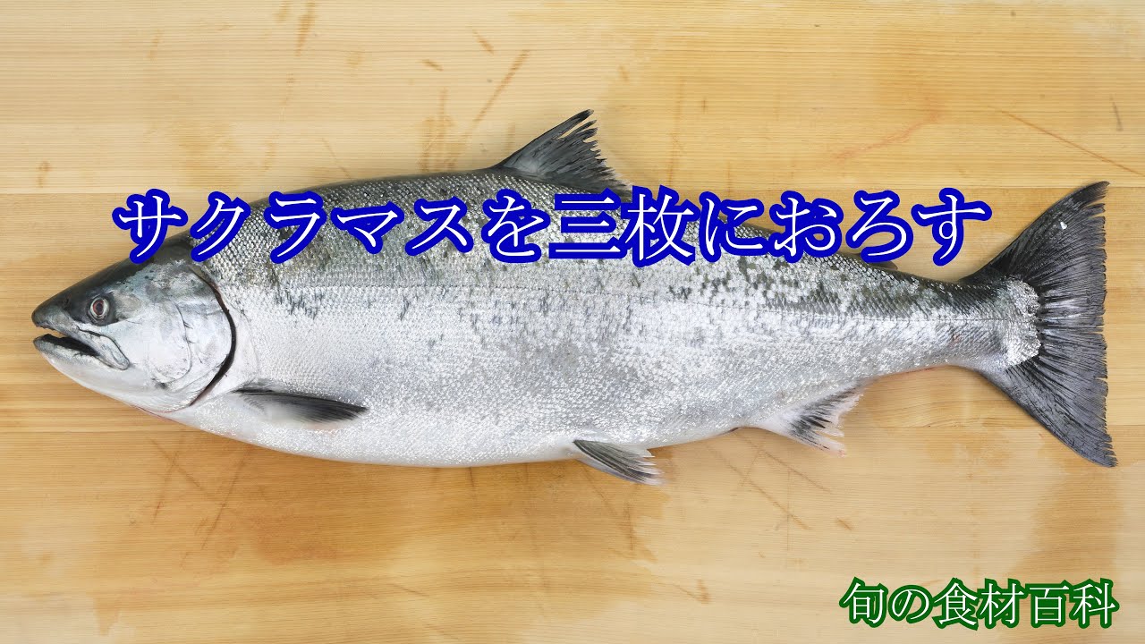 サクラマスをさばく　How to fillet a Cherry salmon