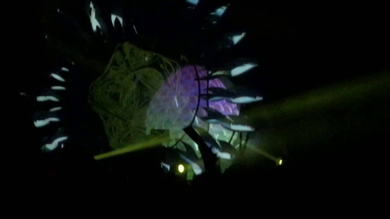 BOOM Festival 2016 IBoga 20 Years Nigth Alchemy Circle
