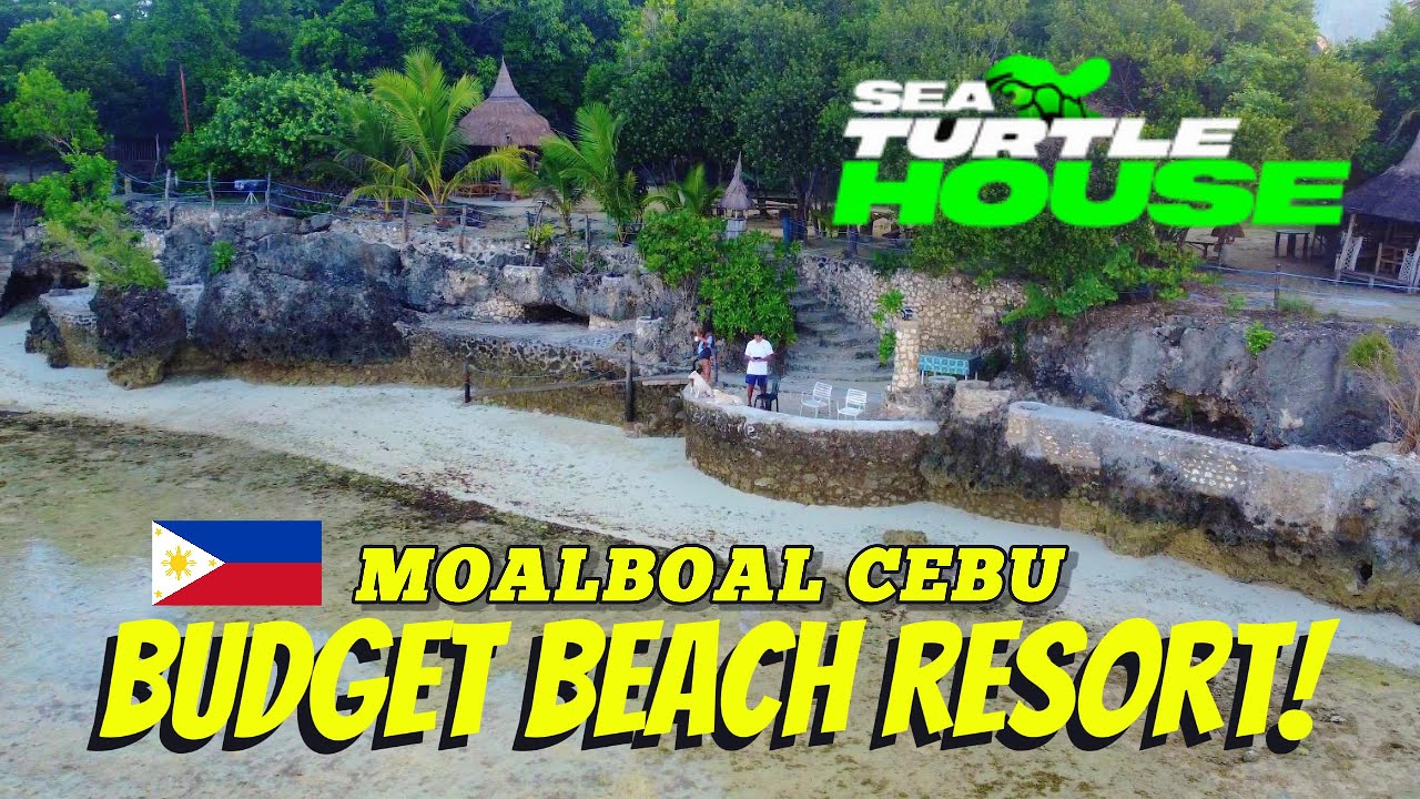 Moalboal on a Budget: Sea Turtle House Resort Tour