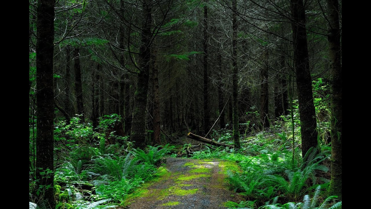 Interakcja z mroczną siłą - Byłem w niebezpieczeństwie