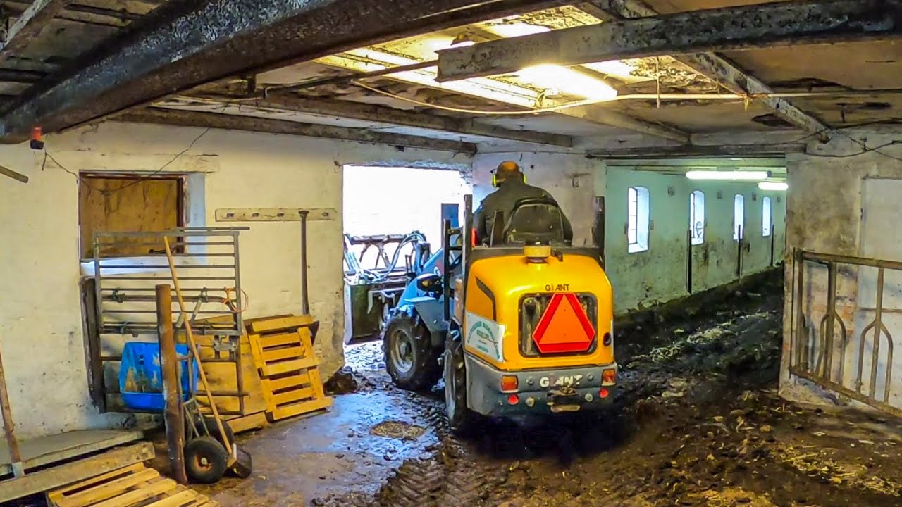 Mit liv med landbrugsmaskiner S4:E43 Pløje og minilæsser