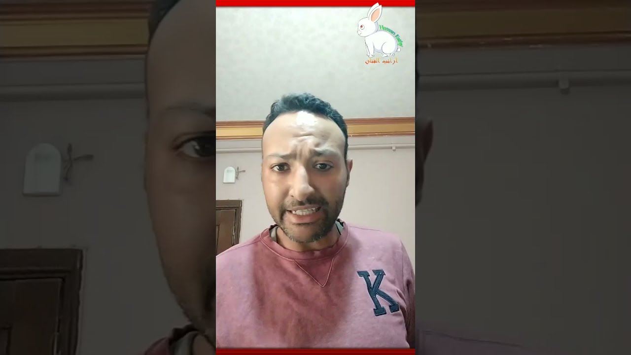 أسباب انقطاع الارانب عن الاكل وطرق علاجها