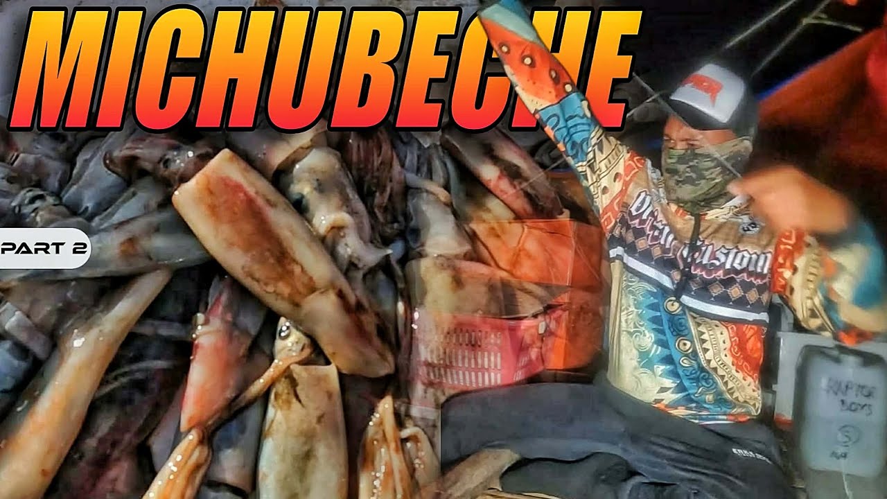 P2 - Michubeche