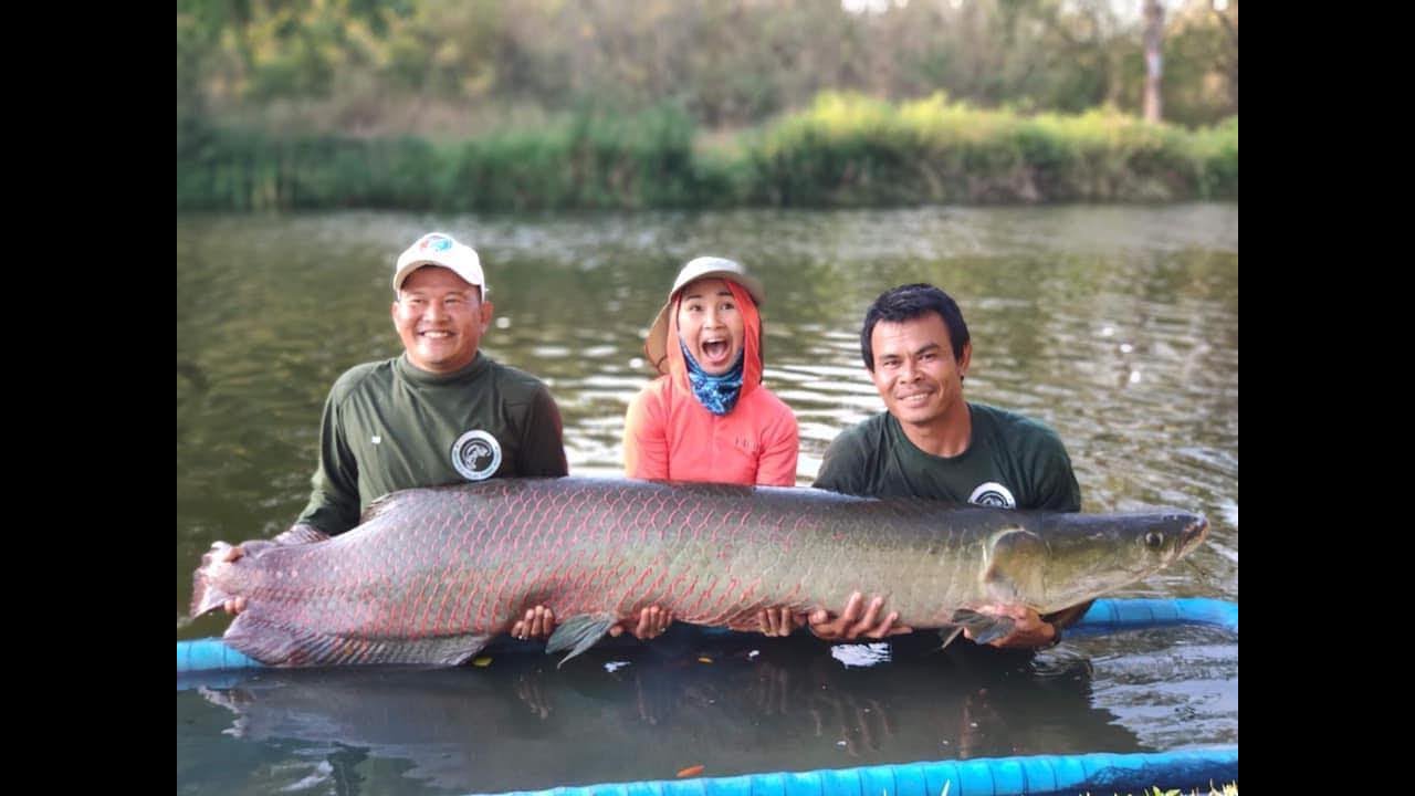 90 lb. Lady vs. 180 lb. Fish!