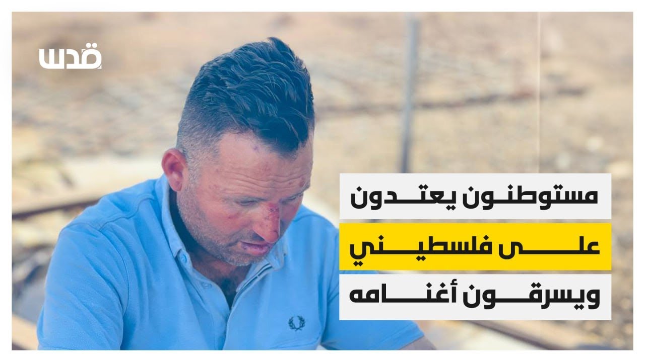 حاولوا قتله بعد سرقة قرابة 250 رأس من الماشية.. مستوطنون يهاجمون فلسطينياً بنابلس