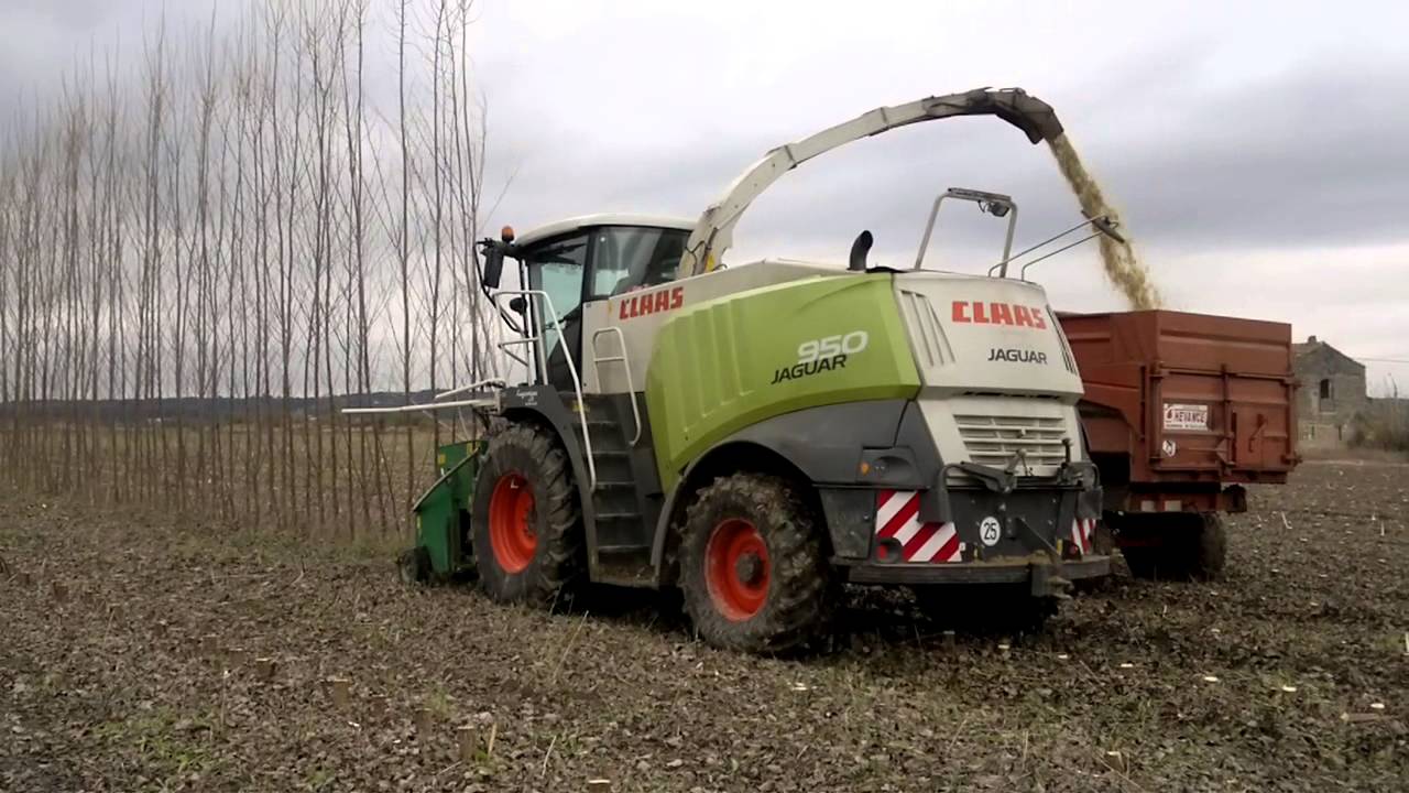 TESTATA ABBATTITRICE Bio-HarvEster Biopoplar - CLAAS