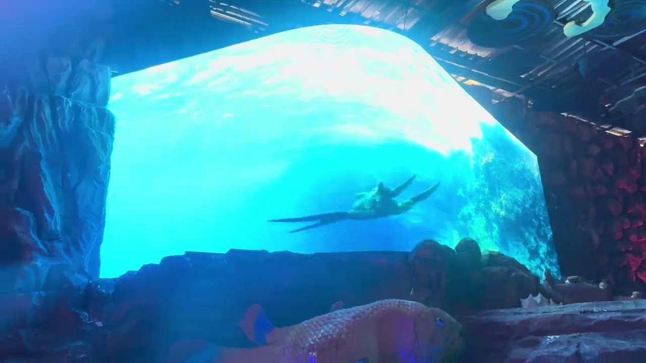 Masuuuuk AQUARIUM 🙂‍↔️ 