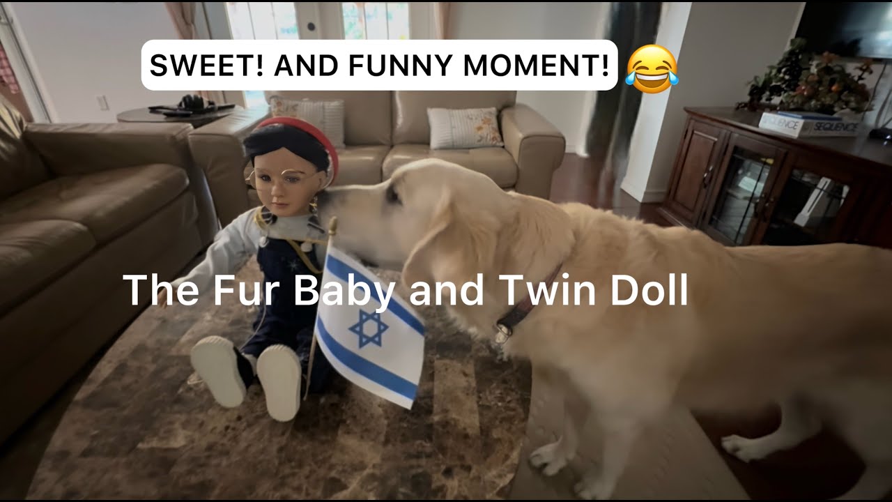 Fur Baby and Twin Doll | Sweet! and Funny Moments!