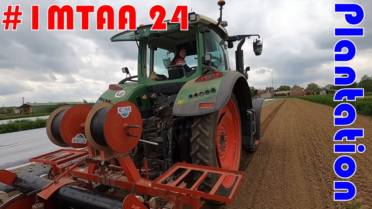 Plantation des salades bio #IMTAA 24