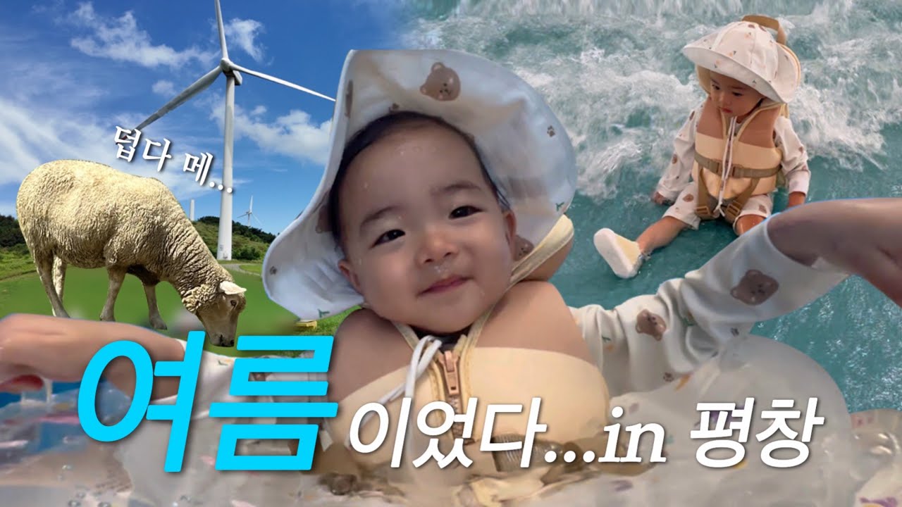 [육아 VLOG] 이제서야(?)올리는 여름날의 추억 | 양떼보러 하늘목장🐑 | 워터파크까지 뿌심💦 | 가족 국내여행 추천