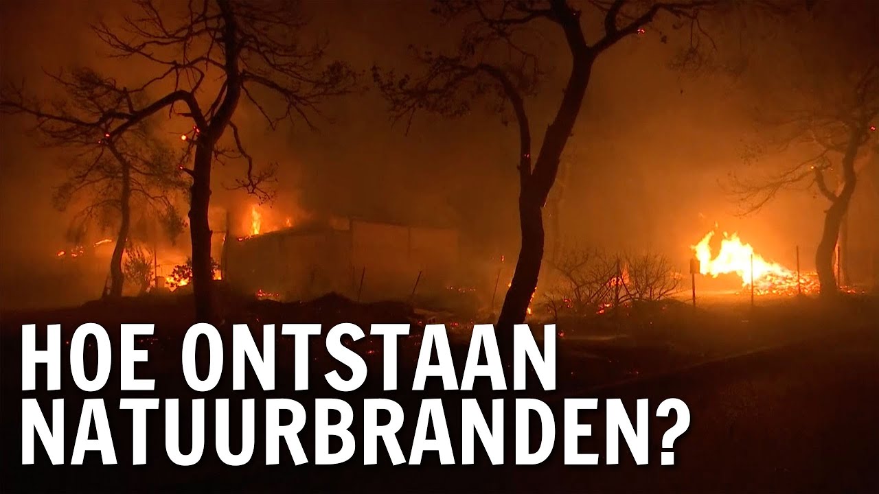 Hoe ontstaan natuurbranden? | De Buitendienst over Natuurbranden