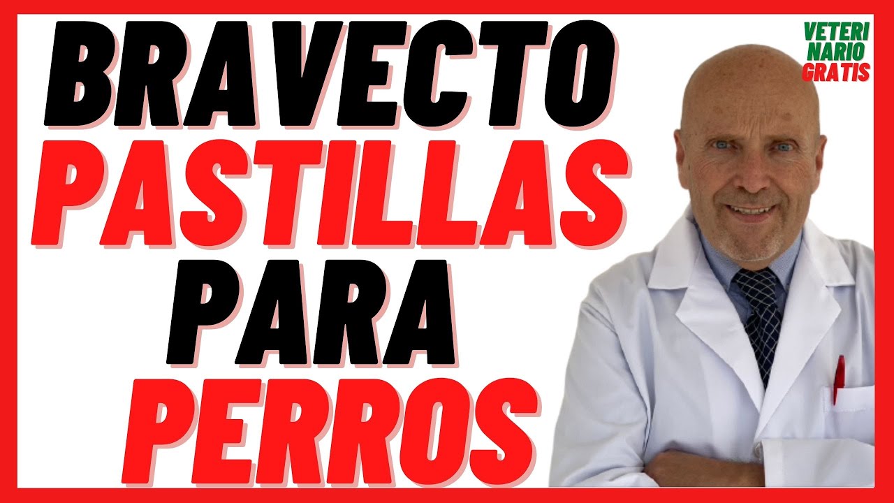 BRAVECTO Pastillas de Fluralaner 250, 500,1400,1000 mg 🟣 Antipulgas y Garrapatas para Perros Precio