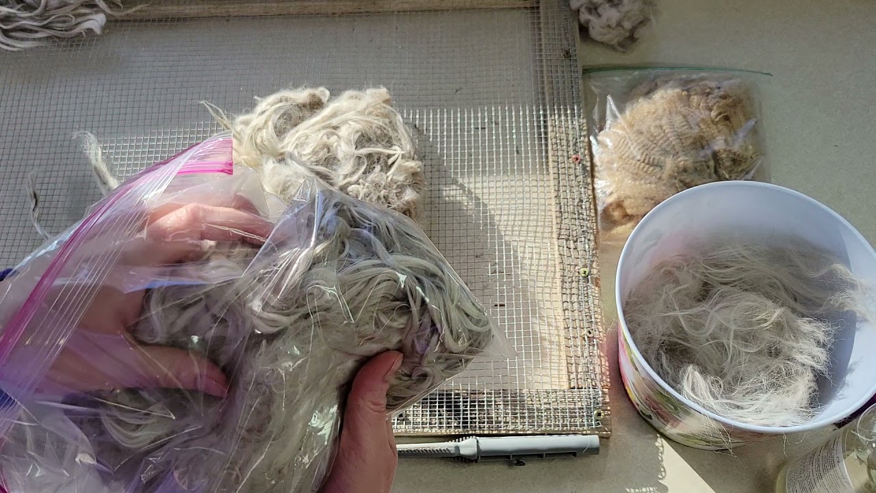 Step 1 - How I sort and clean my suri alpaca fiber.
