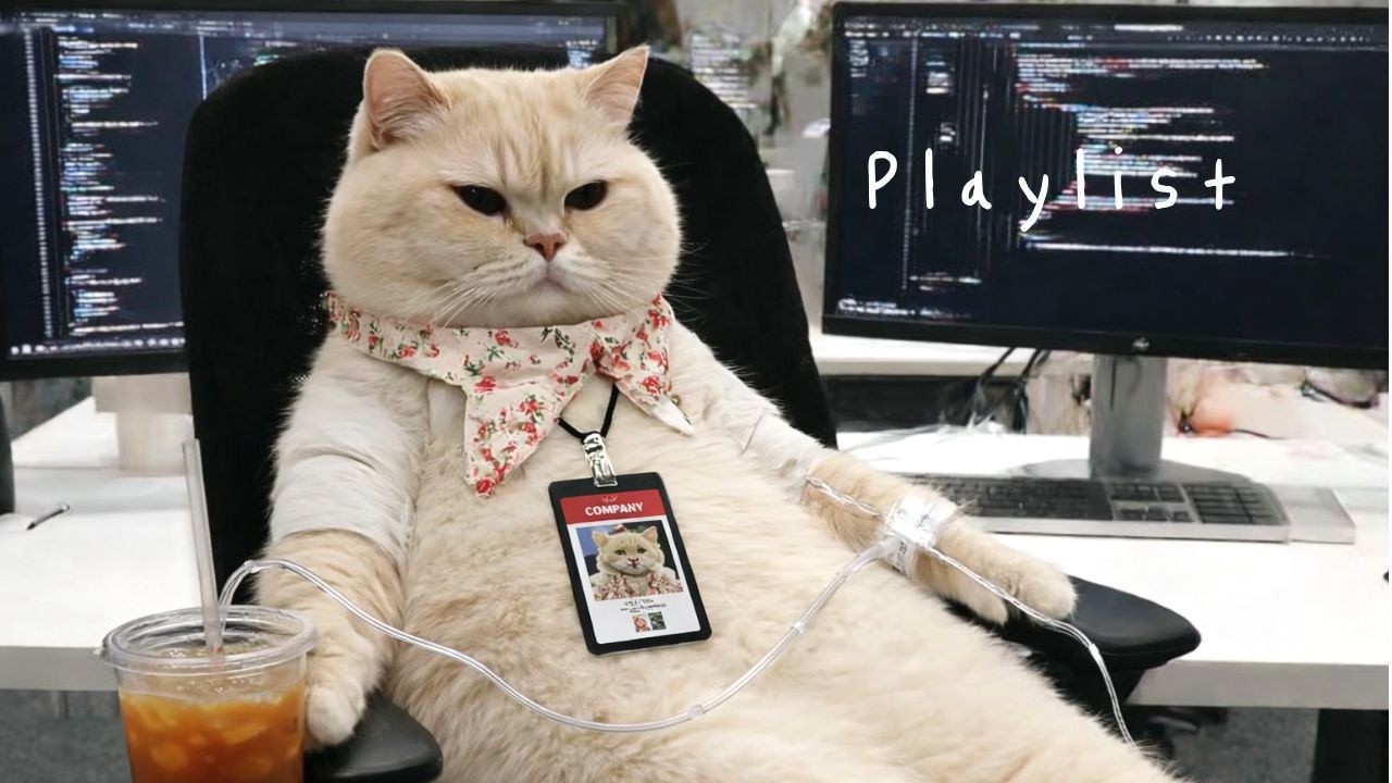 POV: 아무 생각 없이 음악만 듣고 싶은 날 🐱🎧 | Chill Cafe Groove