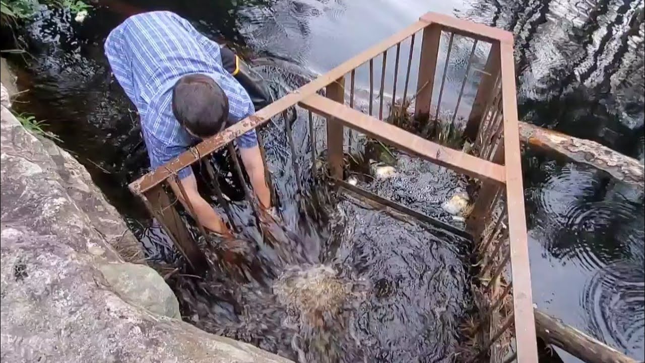 Unclogging The Trash Rack Jammed By Beavers