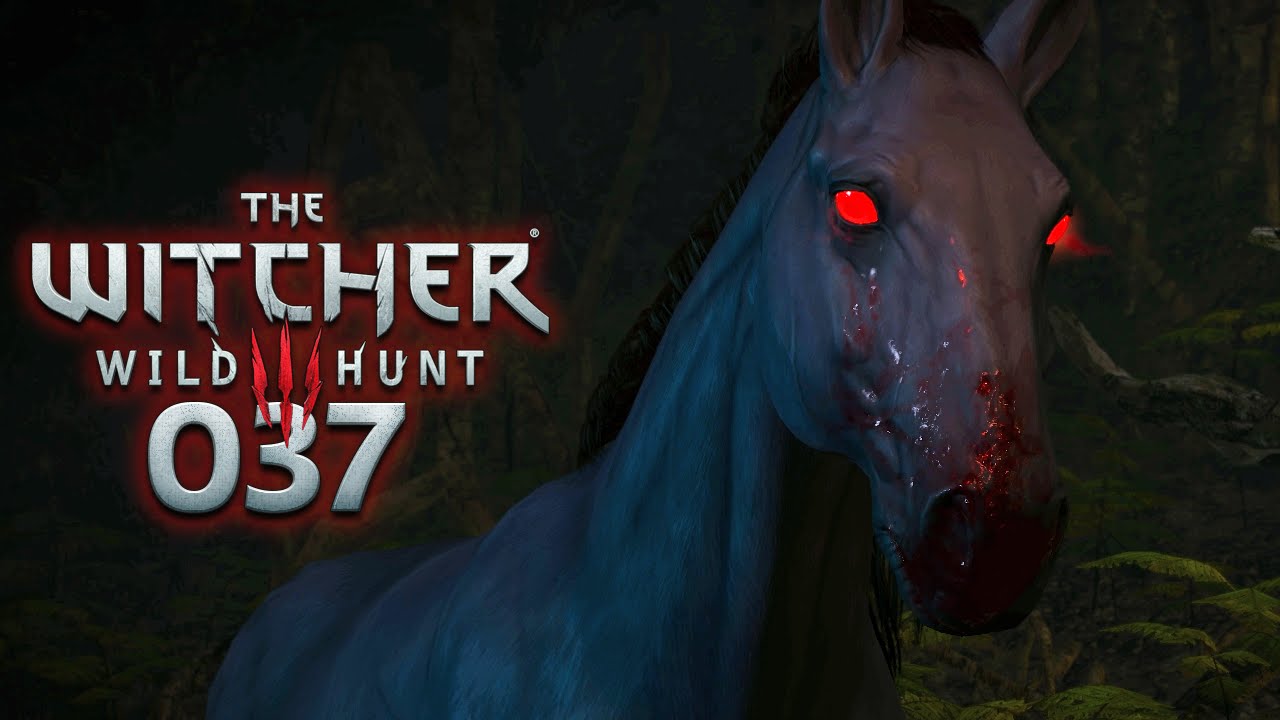WITCHER 3 [037] - Erbarmungslose Konsequenzen ★ Let's Play The Witcher 3