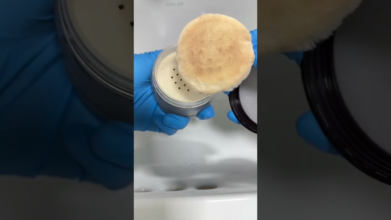 今天断舍离后的小感悟：人的欲望太大了，小心丰富中变得匮乏… #爱干净的女人 #打扫卫生 #如何把家里收拾的干净又整洁 #生活vlog日常记录 #在平凡日子里热爱生活