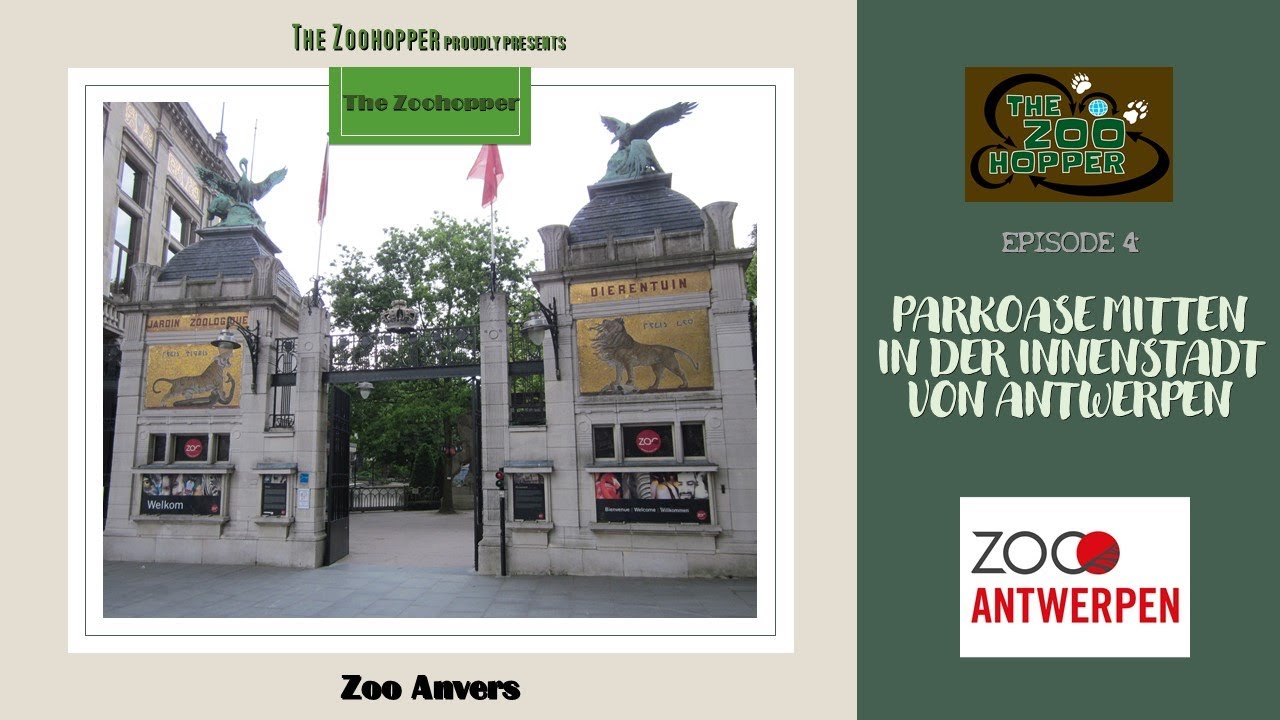 Zoohopper-TV Episode 4 (Zoo Antwerpen)