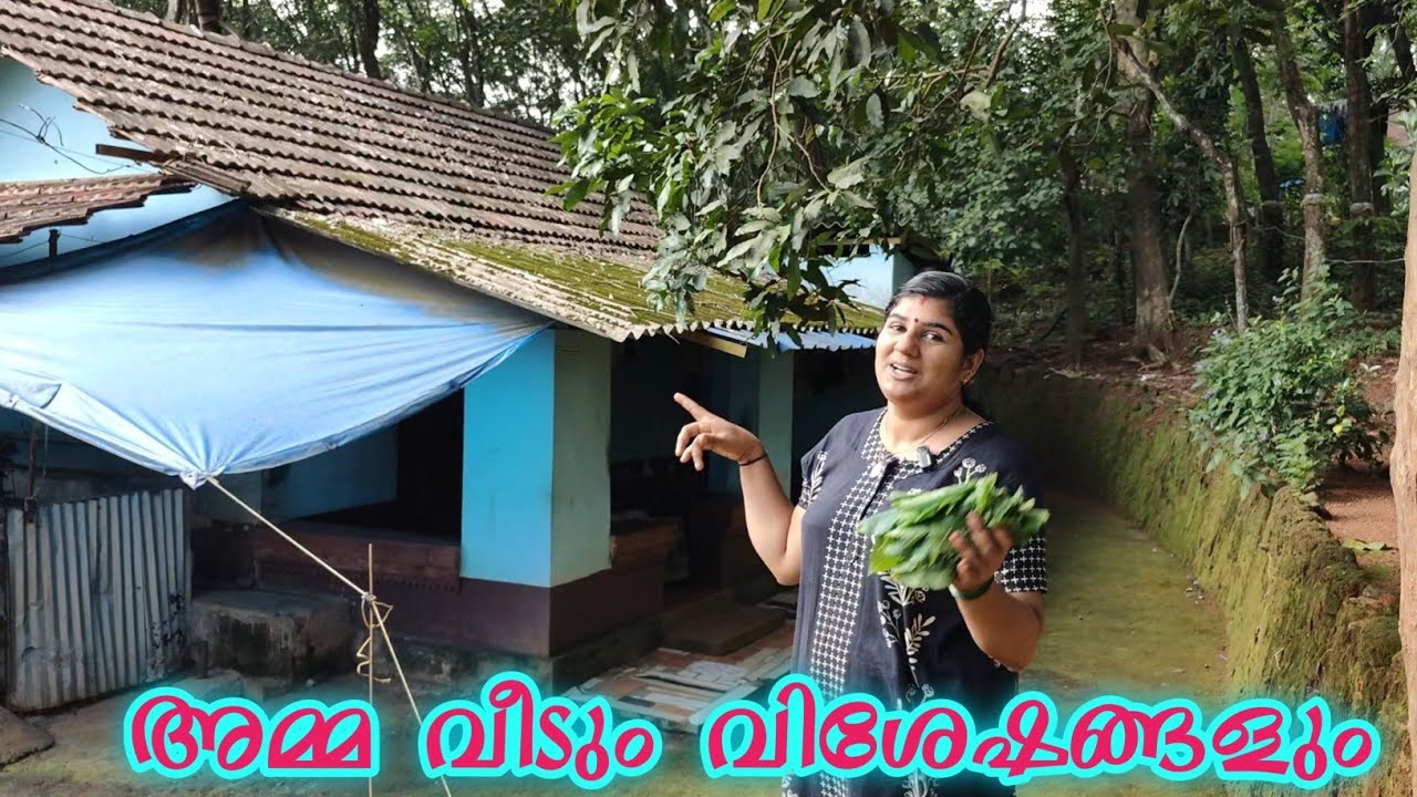 അമ്മ വീടും നാടൻ ഇലക്കറി വിശേഷങ്ങളും :😍😍😍😋😋😋💯💯👌👌👌