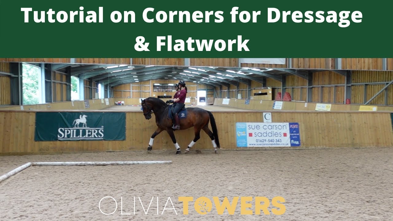 Tutorial on Corners for Dressage & Flatwork | OT Vlog