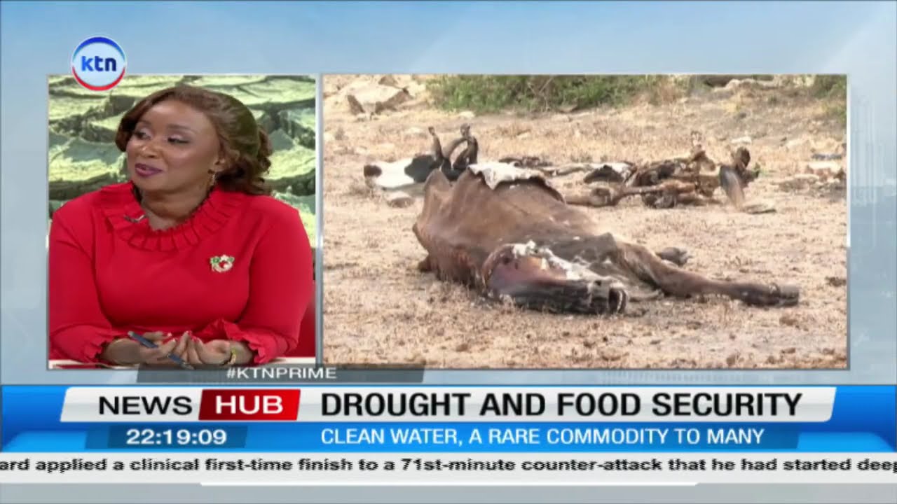Drought and food security: 23 Counties affected by drought in Kenya