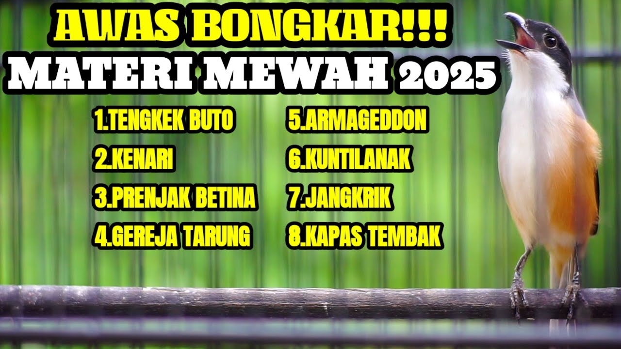 MASTERAN TERBAIK BURUNG CENDET JUARA NASIONAL FULL TEMBAKAN MEWAH